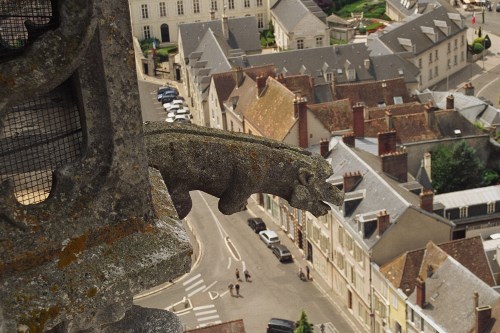 Chartres
                Cathedral Gargoyle